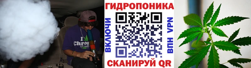 Бошки Шишки семена  Медвежьегорск 